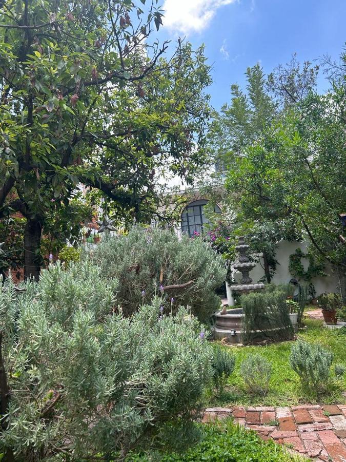 Casa Matia Bed And Breakfast San Miguel de Allende Luaran gambar